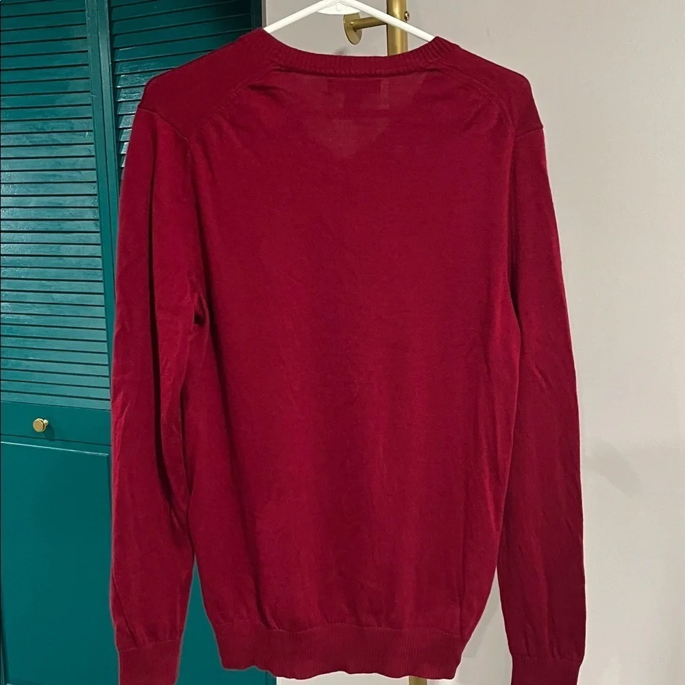 Banana Republic Extra-Fine Merino Wool V-Neck Sweater